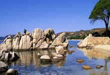 竞技宝官网：[CBA]萨姆纳豪取53分 四川队结束五连败.